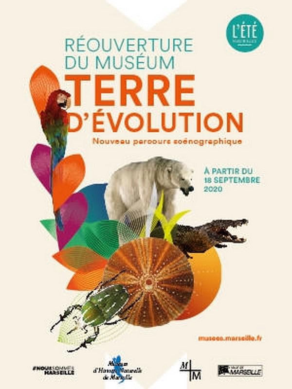 Collection permanente du Muséum d'Histoire Naturelle de Marseille