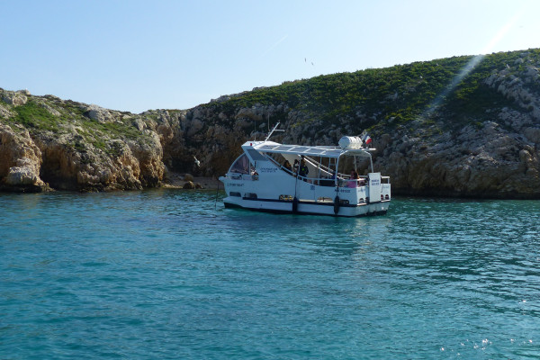 Circuit écologique 2h : la biodiversité des îles de Marseille