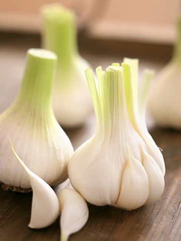 L'aïoli d'après, soutenez vos restaurants et cafés préférés