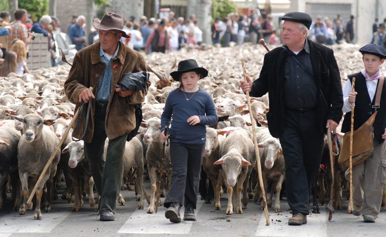 La transhumance inscrite à l’Inventaire national du patrimoine culturel immatériel