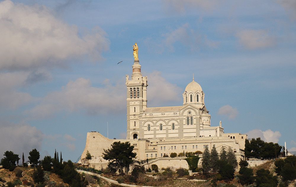 Sur la colline de Notre-Dame-de-la-Garde, de nombreux oiseaux peuvent être observés 