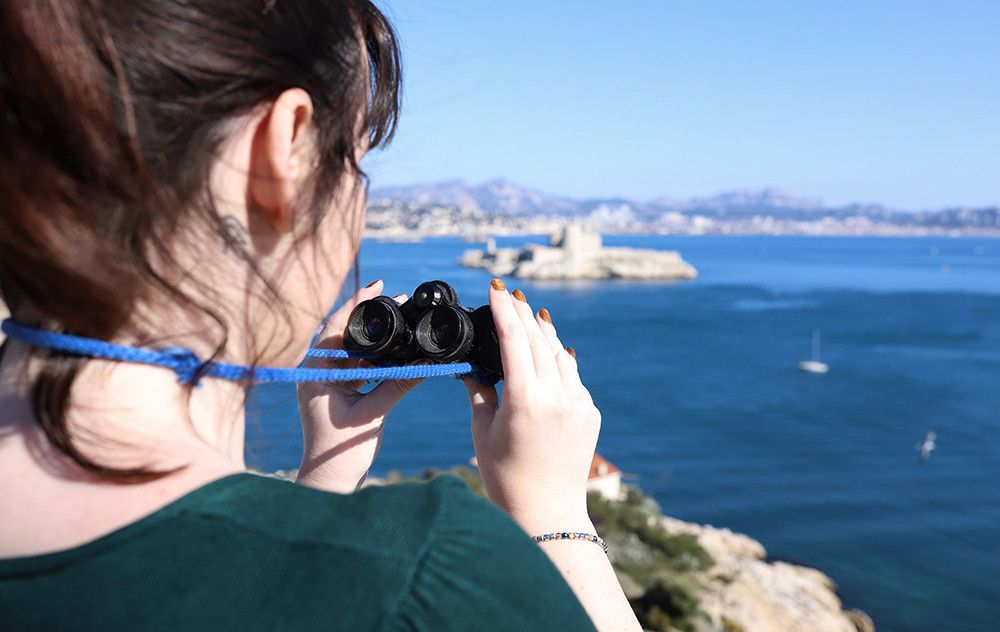 Observer les oiseaux depuis les Iles du Frioul à Marseille