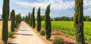 En balade avec Bacchus (toutes les photos carrées et verticales enlevées)
