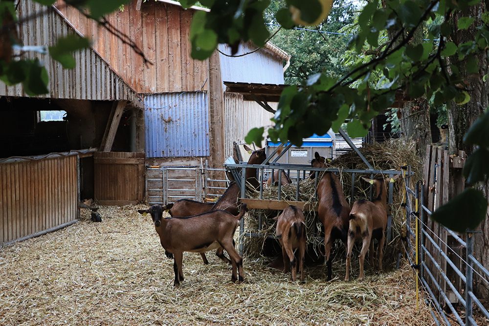 Le festival Musique à la Ferme se réapproprie l’art musical