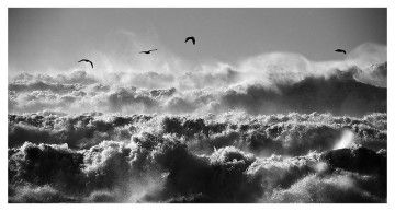 Yohan Brandt, l'appel du vent #9