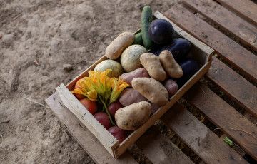 Les produits du terroir en Provence