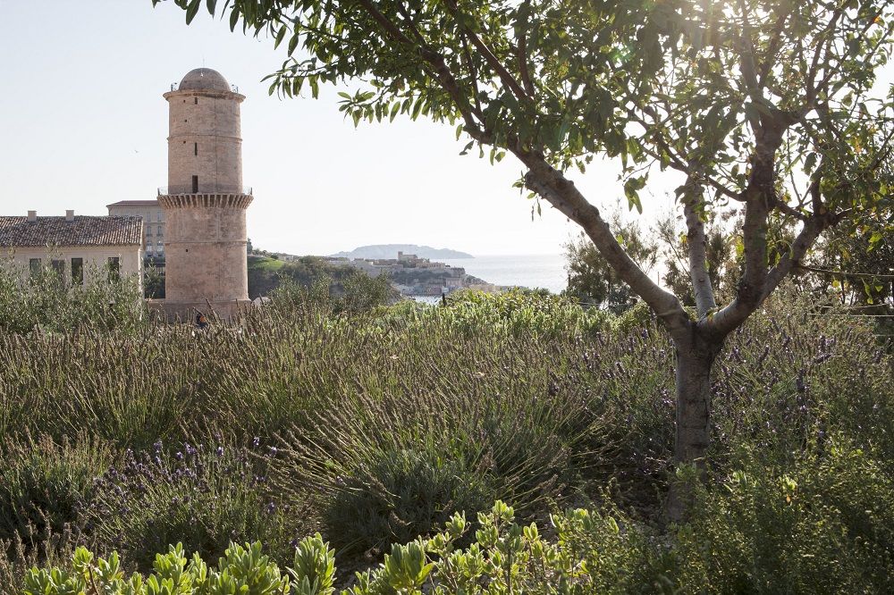 La fête des plantes, une sortie fleurie