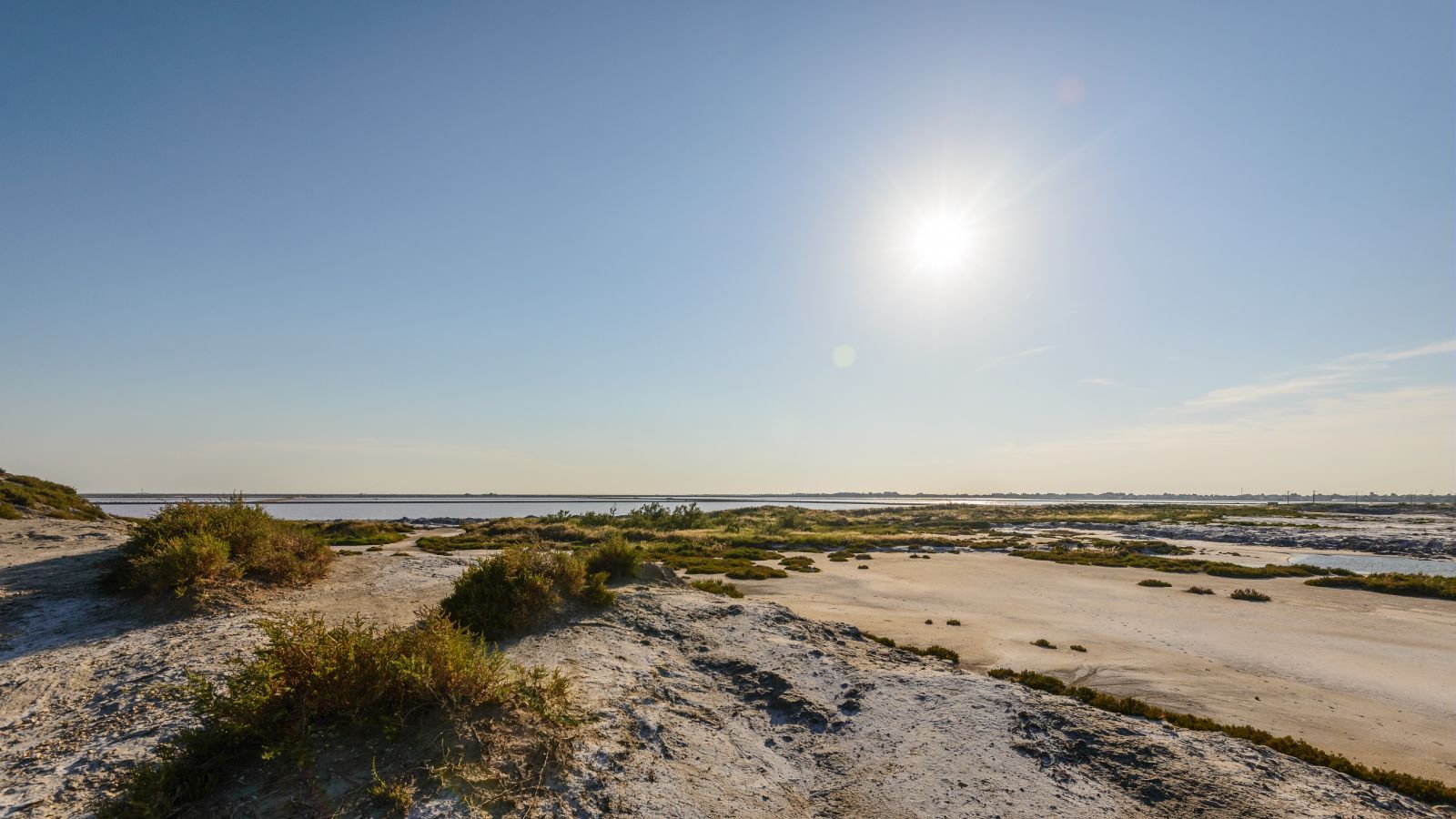 La Camargue discrète