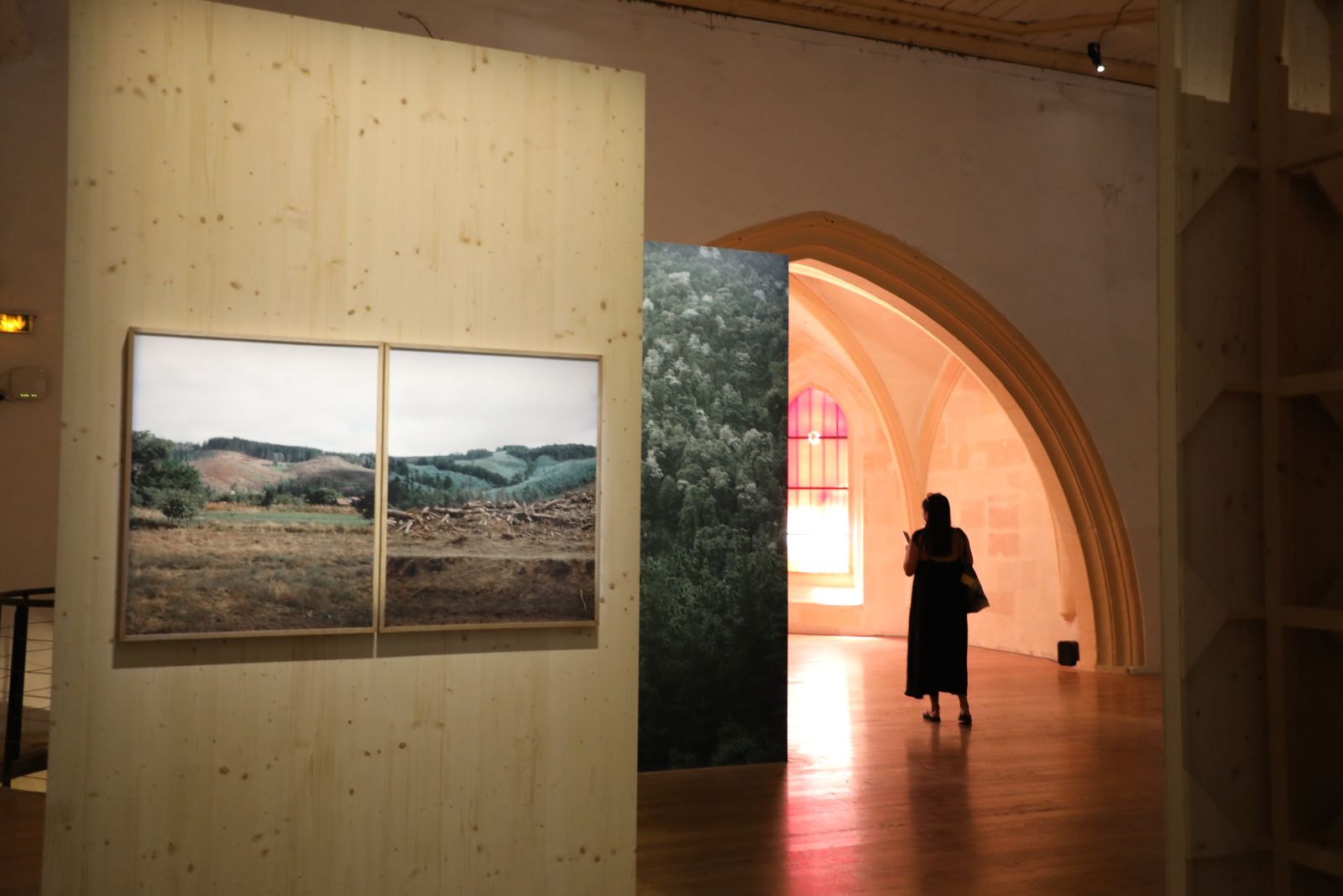 Nos coups de cœur des Rencontres de la Photographie d'Arles
