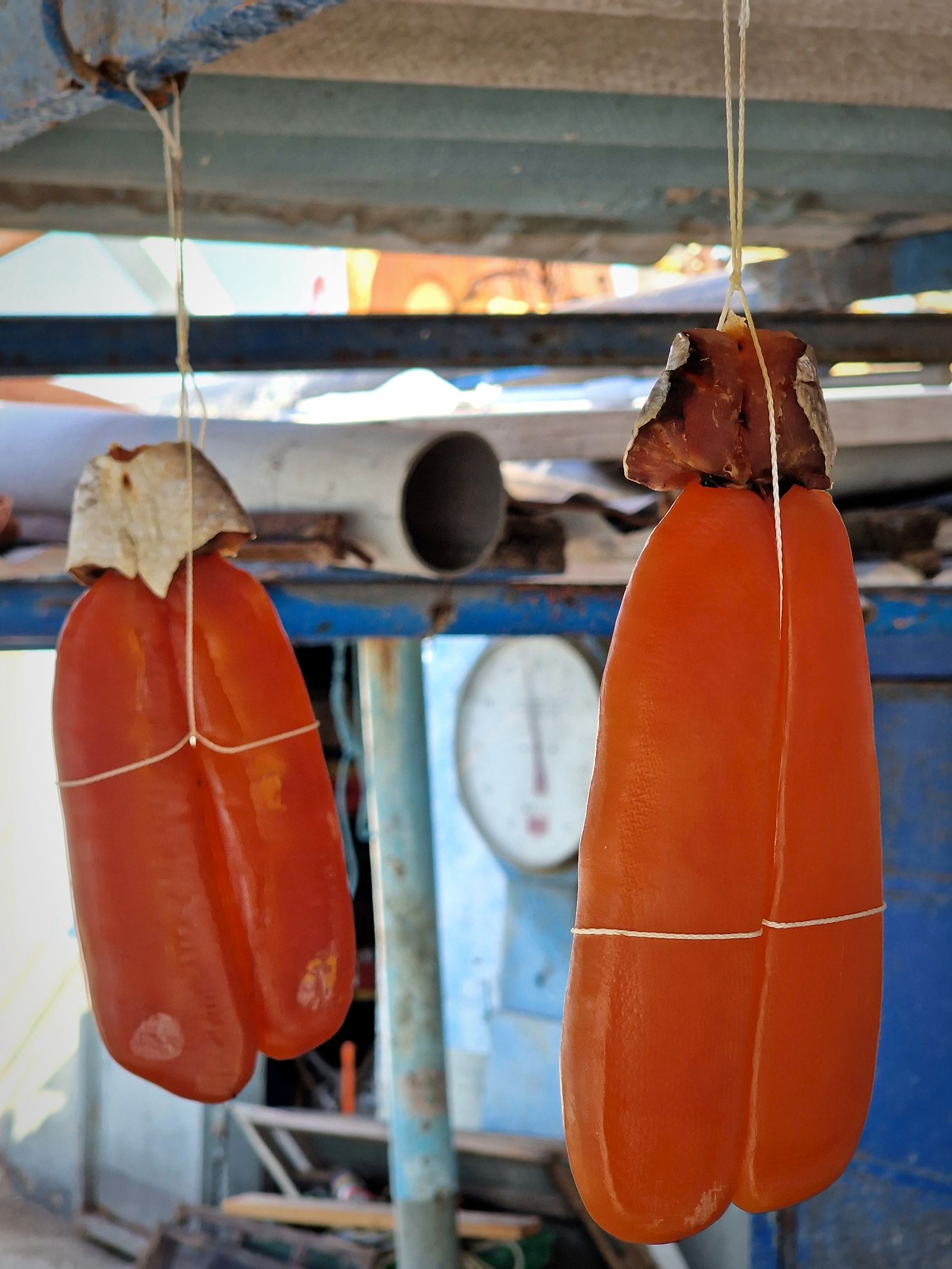 Les poutargues de Jordan et Jean-Sébastien se reconnaissent au petit morceau de chair qui obstrue les poches et qu'on appelle "le pécou".