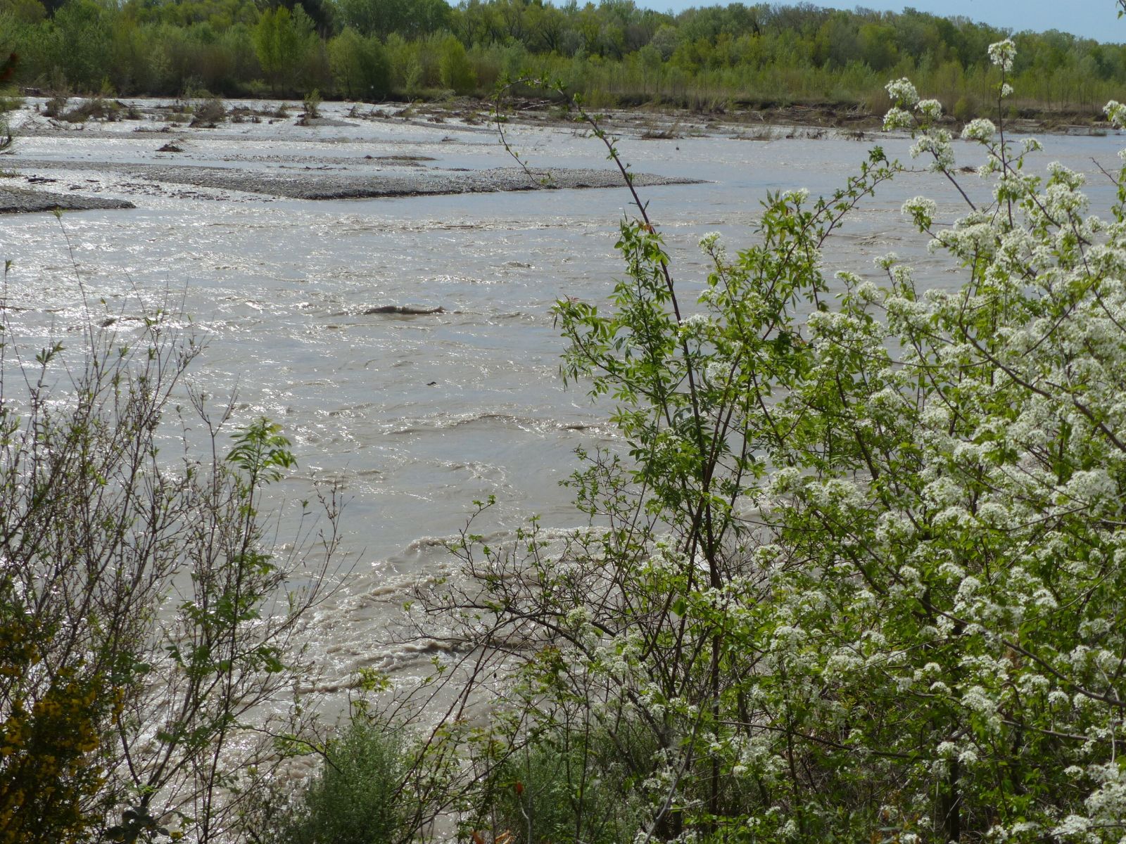 La Durance en crue, Avril 2024