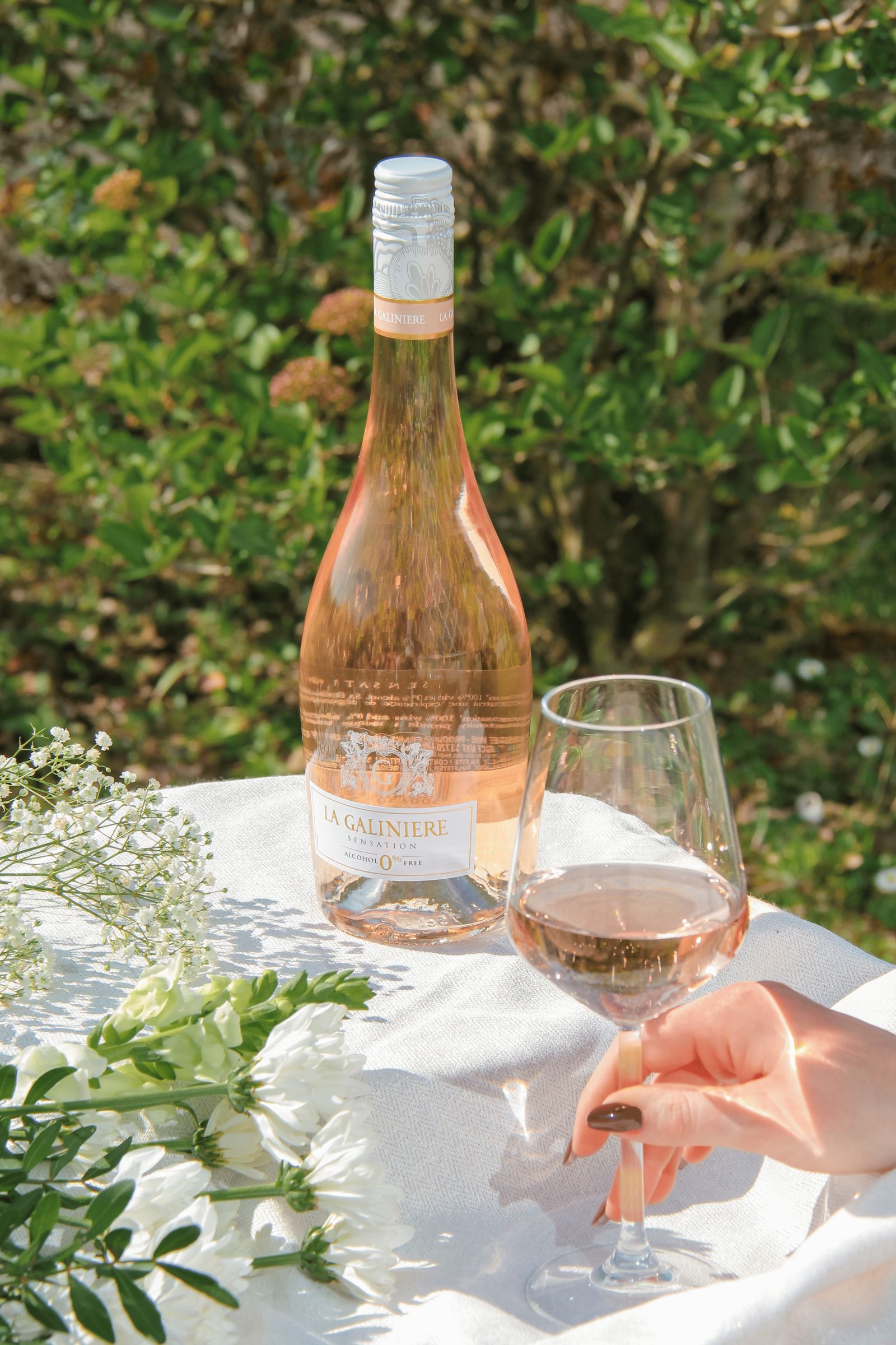 Vins sans alcool, à boire sans modération