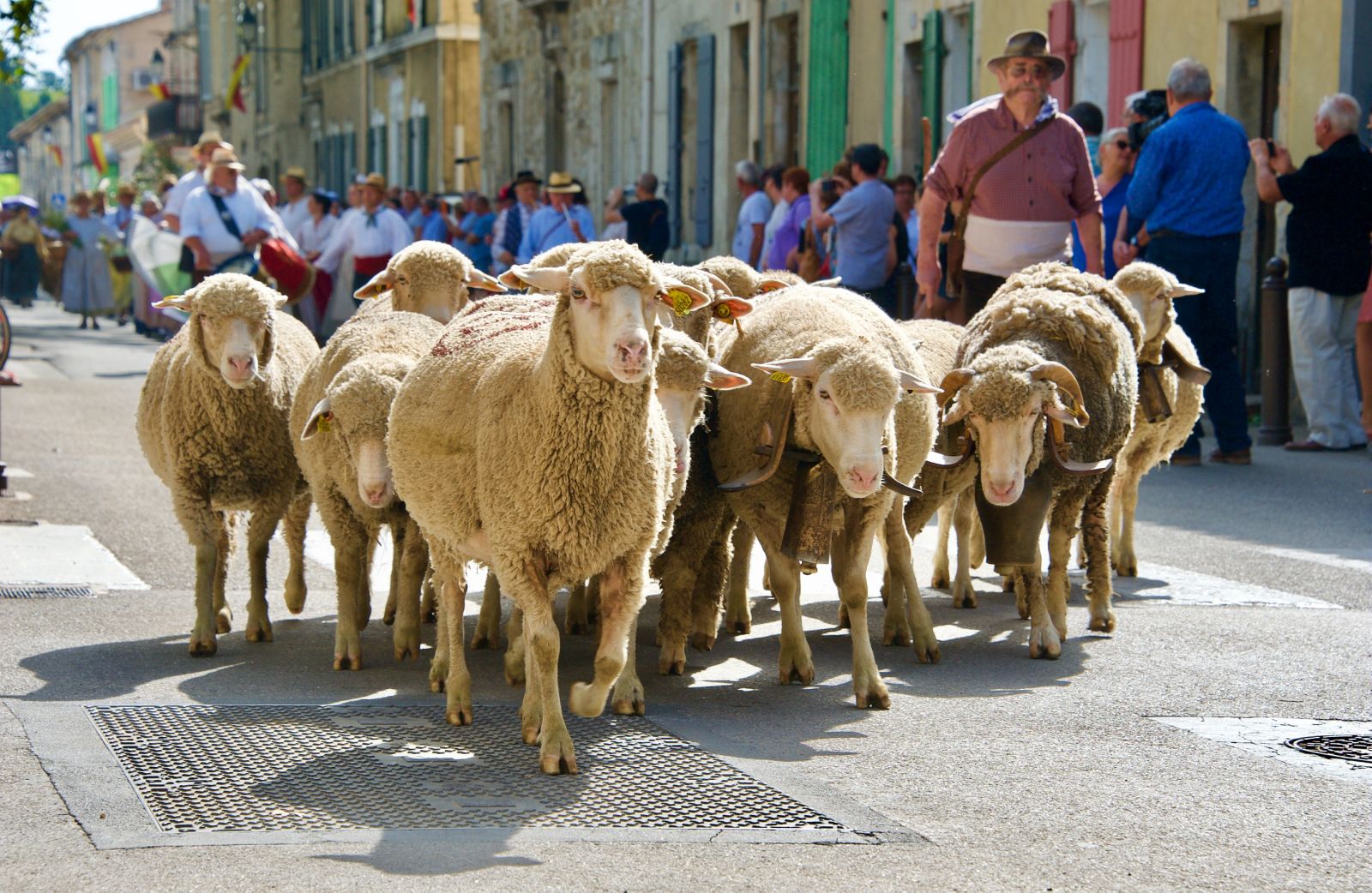 Salon-de-Provence : les expositions qui racontent la ville autrement 
