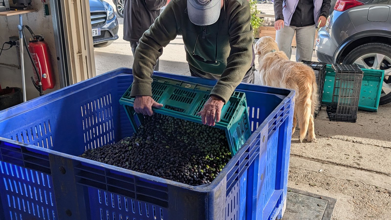À Eguilles, la procession des olives, l’huile des familles